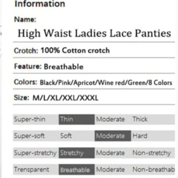 NEW High Waist Slender Lace Brief Panties - Picture 13 of 15